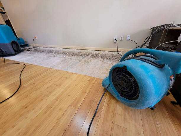 Professional Ceiling Water Damage Repair technician working in Auxvasse, MO
